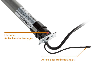 Einlernknopf für Funkfernbedienung sowie Funkantenne des TDEF Rolladenmotors