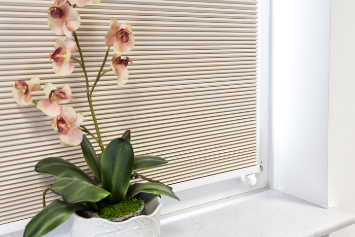 Wabenplissees als dekorativer Sicht- und Sonnenschutz für Fensterfronten
